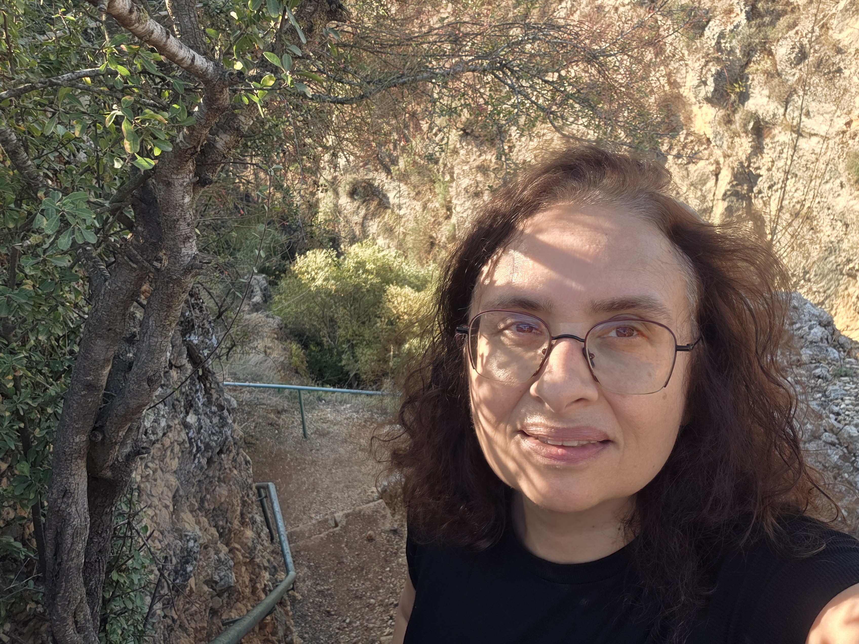 בתיה אהרון פלזן