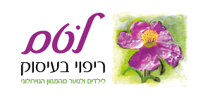 לטם טרנסלטאור לוגו